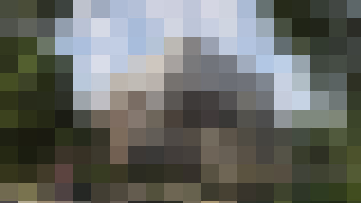 Image 14