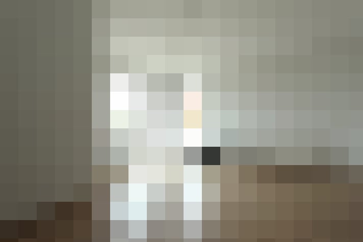 Image 17