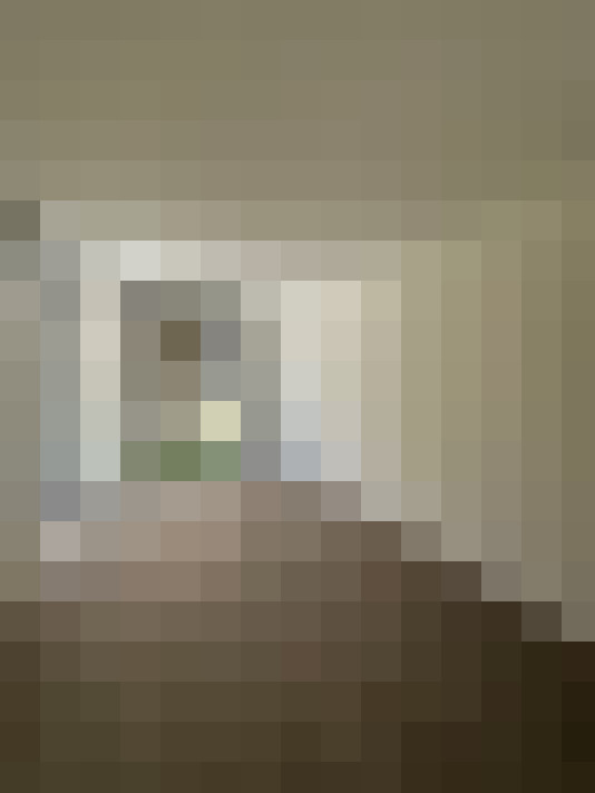 Image 13
