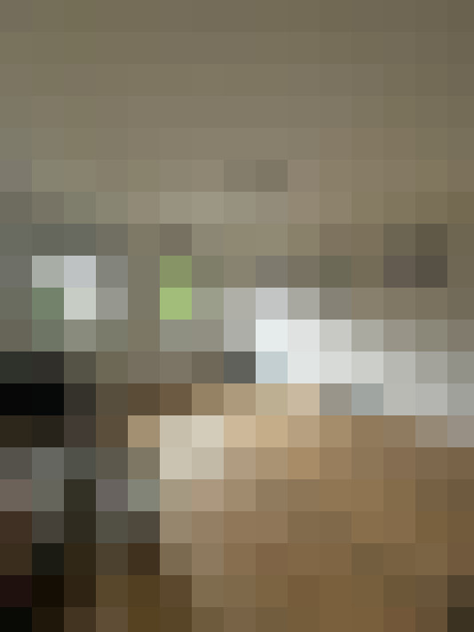 Image 21