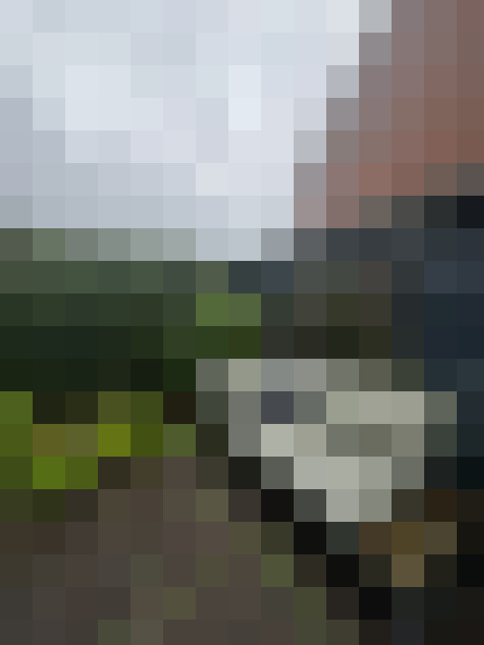 Image 39