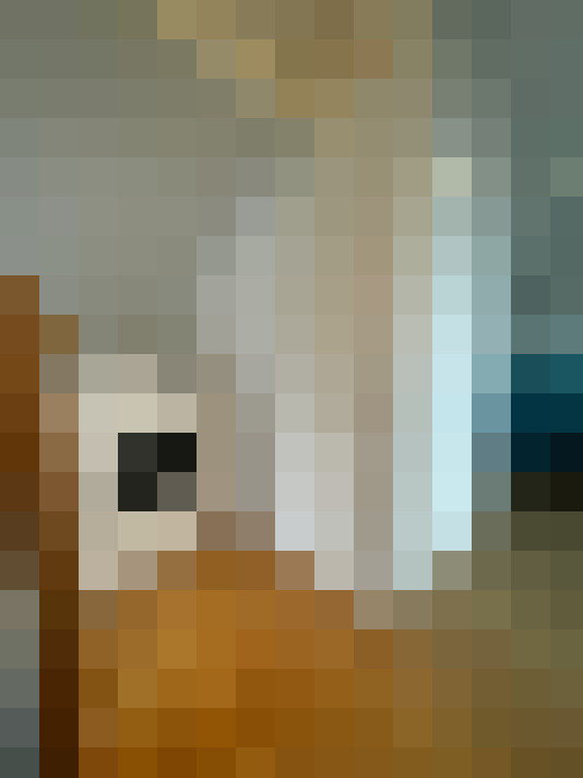 Image 31