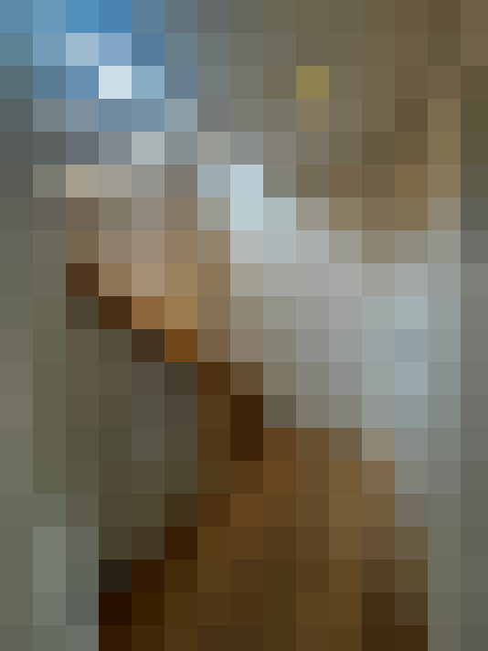 Image 29