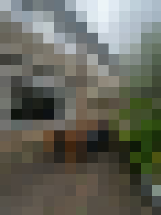 Image 37