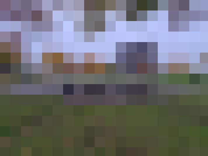 Image 24