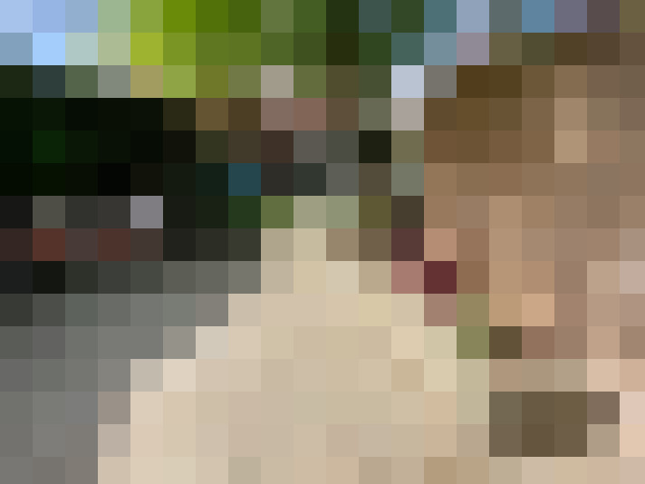 Image 29
