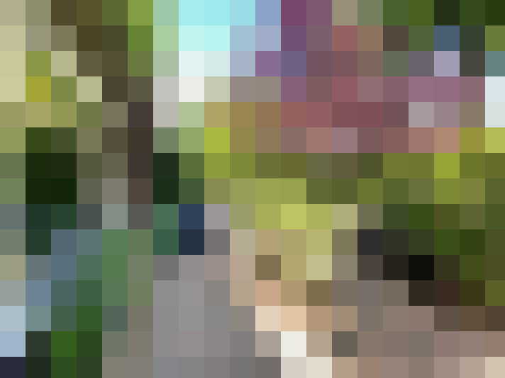 Image 27