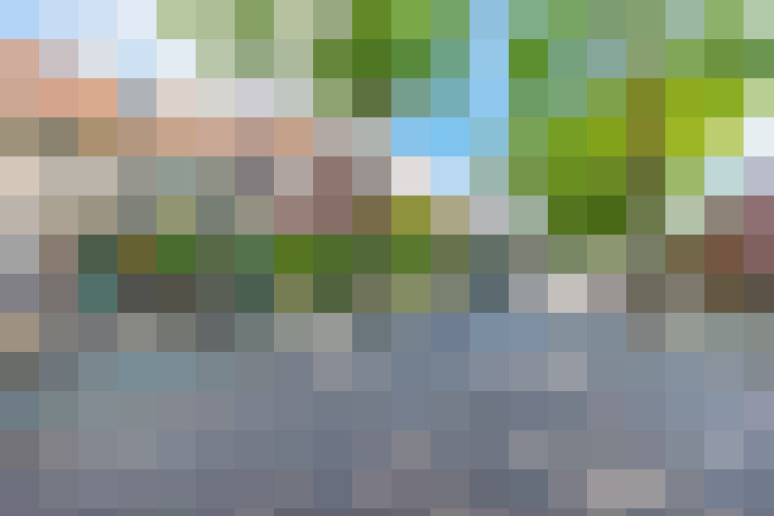 Image 31