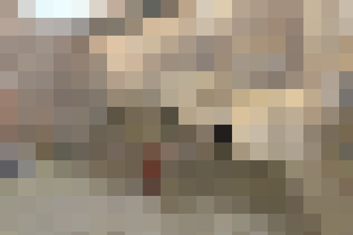  / #16
