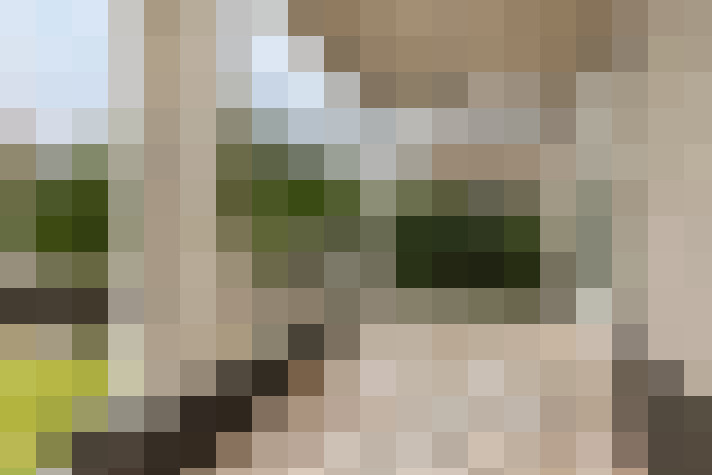 Image 33