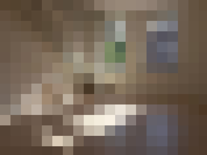 / #28