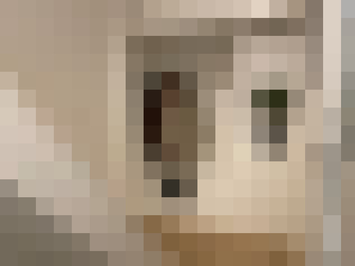  / #15