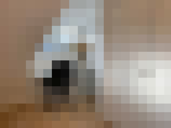 / #12
