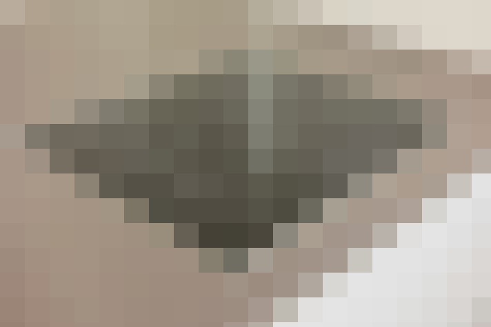  / #10