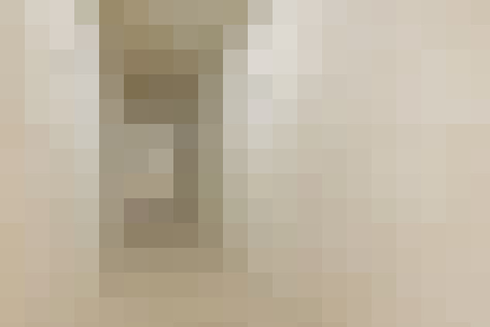 / #24