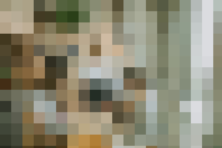 Image 23