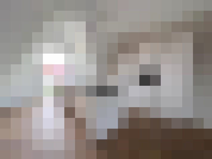  / #7