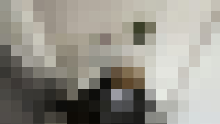 Image 29