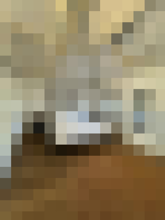 Image 39