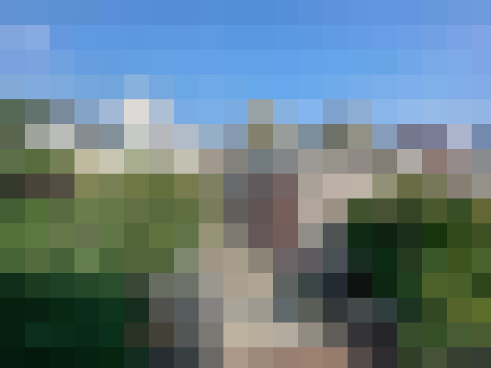 Image 20