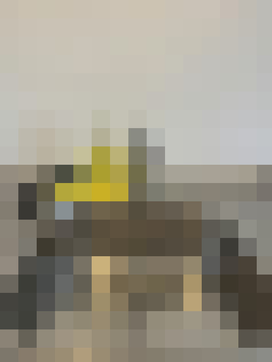 Image 26