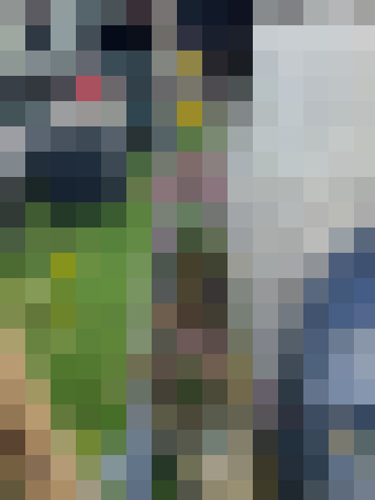 Image 25