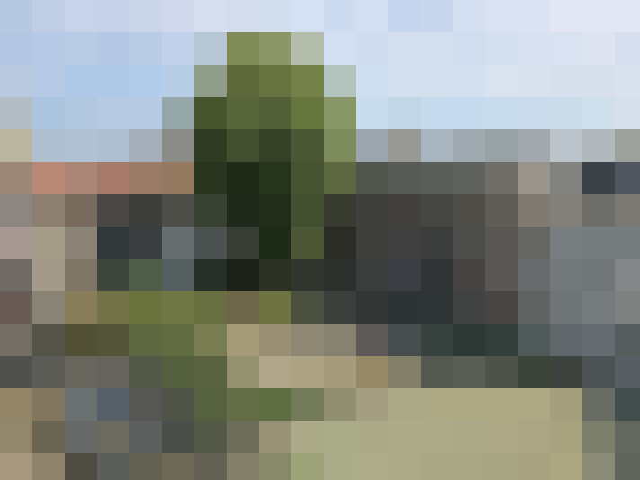 Image 16