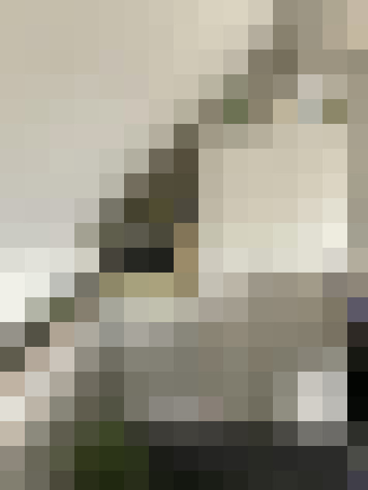 Image 17