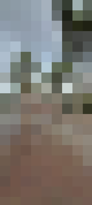 Image 22