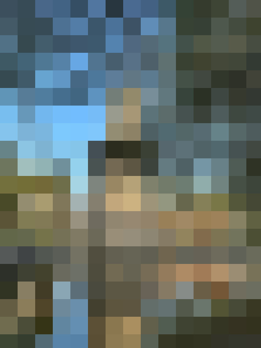 Image 25