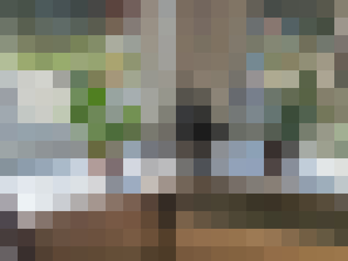 Image 16
