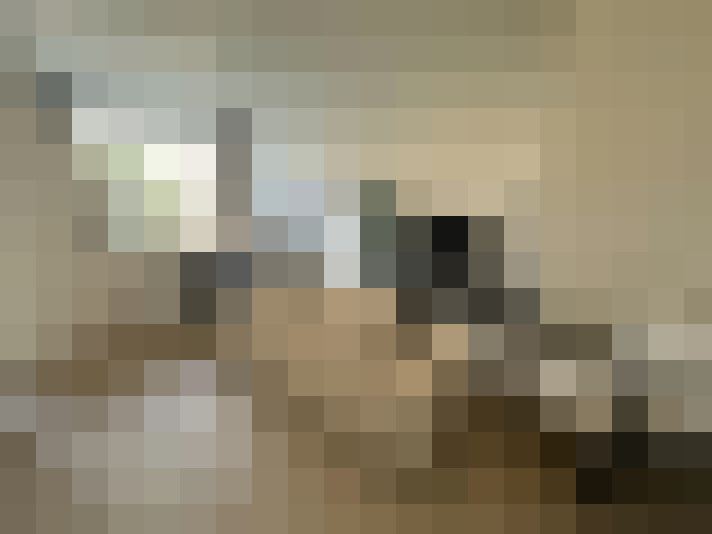 Image 13