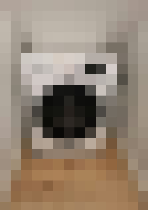 Image 20