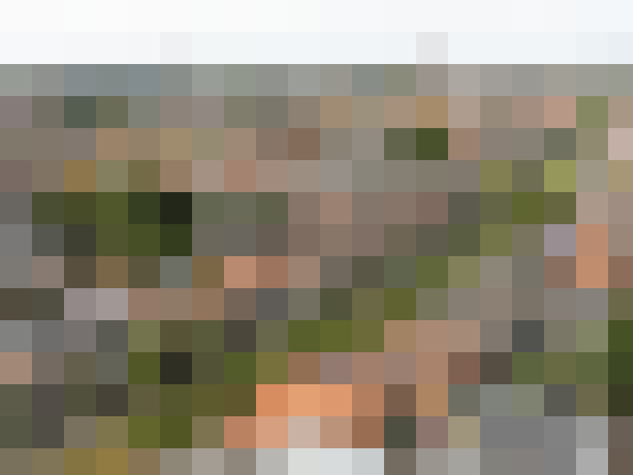 Image 38