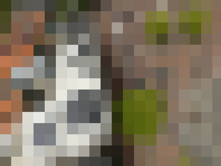 Image 35