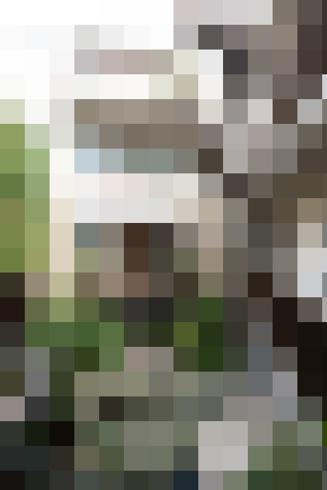 Image 23