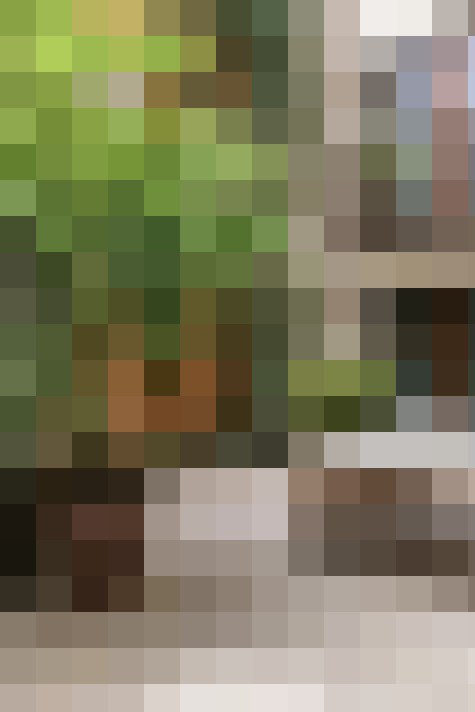 Image 48