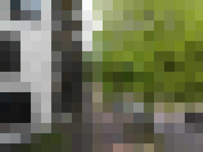 Image 34