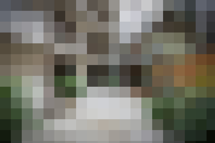 Image 43