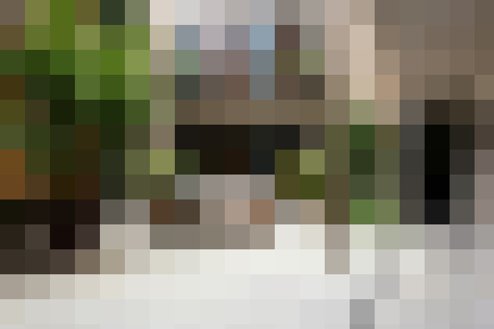 Image 27