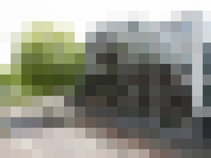 Image 31