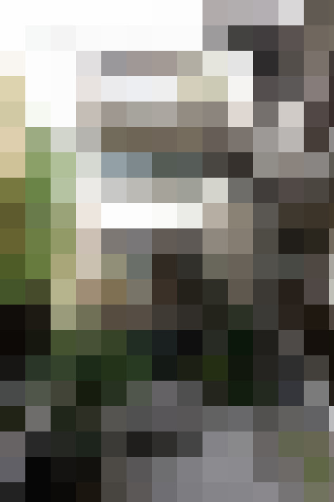 Image 24