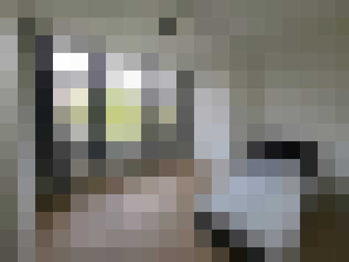 Image 28