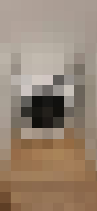Image 30