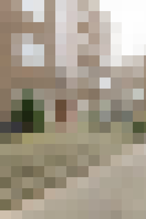 Image 16