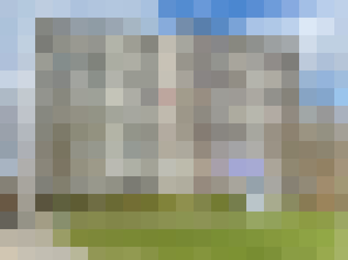 Image 13