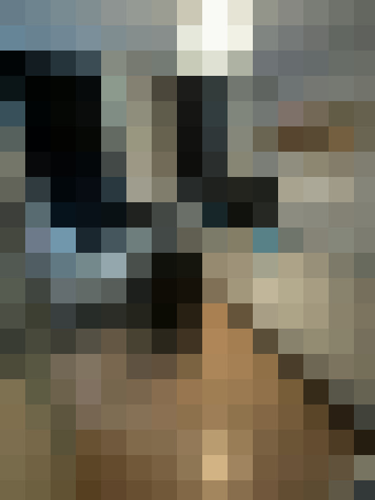 Image 15