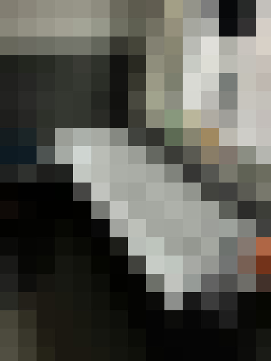 Image 13
