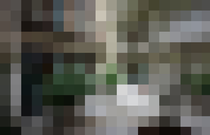 Image 41