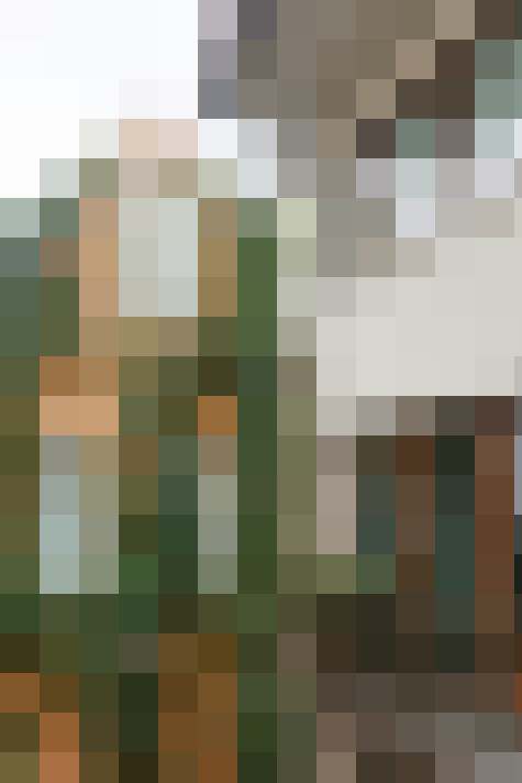 Image 50